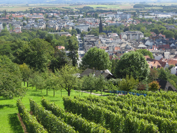 Blick vom Johannisberg